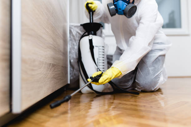 Best Pest Prevention Services  in Pahrump, NV